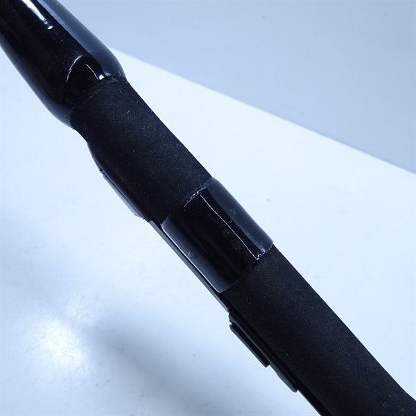 ワカサギ 桃天１１０